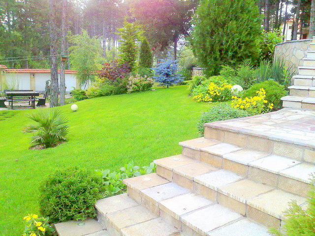 Озеленяване на двор и градина - снимка 1