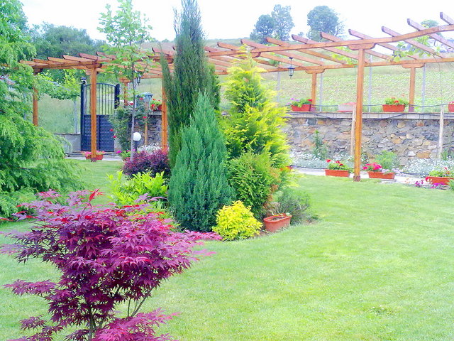 Озеленяване на двор и градина - снимка 21